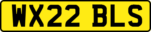 WX22BLS