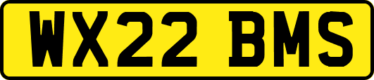WX22BMS