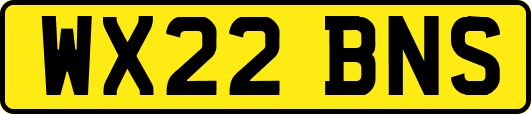 WX22BNS