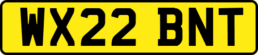 WX22BNT