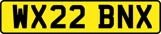 WX22BNX