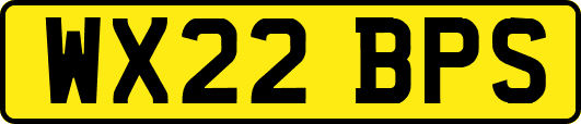 WX22BPS