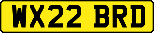 WX22BRD