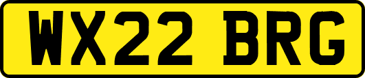 WX22BRG