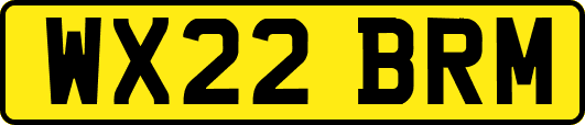 WX22BRM