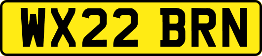 WX22BRN