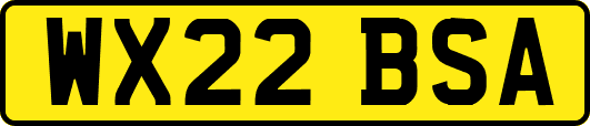 WX22BSA