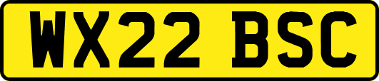 WX22BSC