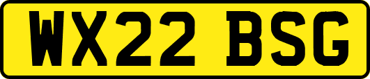 WX22BSG
