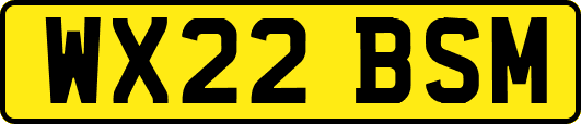 WX22BSM