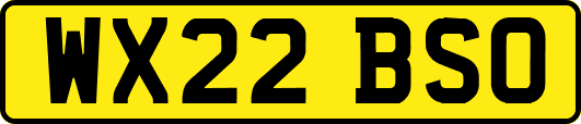 WX22BSO