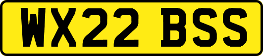 WX22BSS