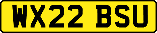 WX22BSU