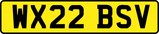 WX22BSV