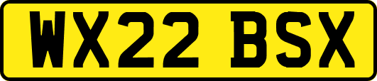 WX22BSX