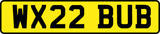 WX22BUB