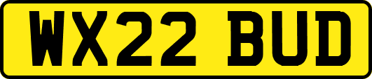 WX22BUD