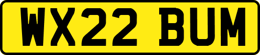 WX22BUM