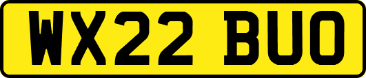 WX22BUO