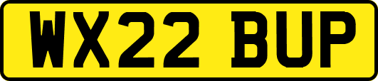 WX22BUP