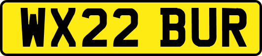 WX22BUR