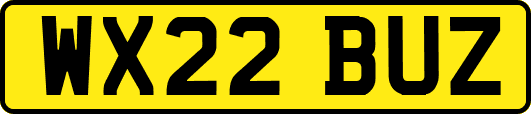 WX22BUZ