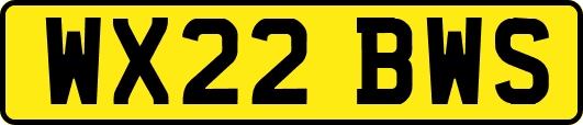 WX22BWS