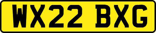 WX22BXG