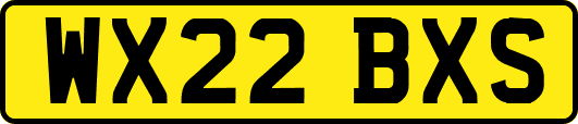 WX22BXS