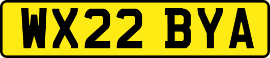 WX22BYA
