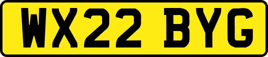 WX22BYG