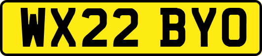 WX22BYO