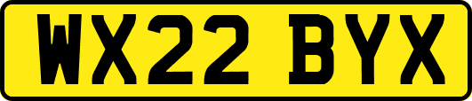 WX22BYX