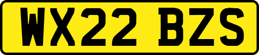 WX22BZS