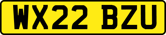 WX22BZU