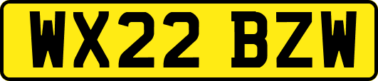 WX22BZW