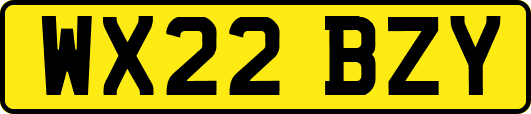 WX22BZY