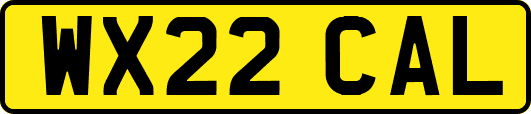 WX22CAL