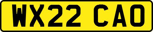 WX22CAO
