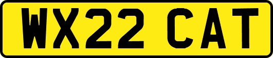 WX22CAT