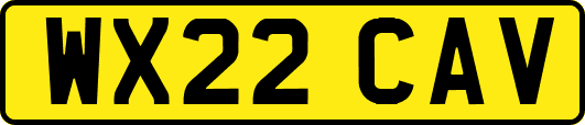 WX22CAV
