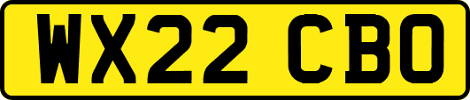 WX22CBO