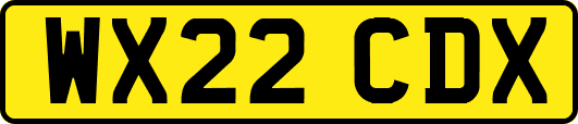 WX22CDX