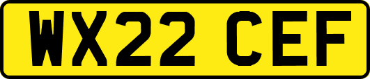 WX22CEF