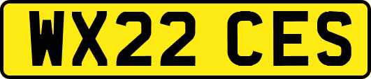 WX22CES
