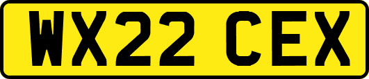 WX22CEX