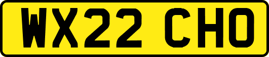 WX22CHO