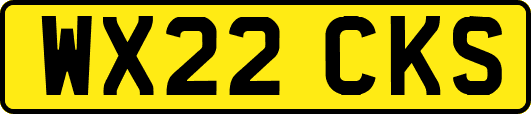 WX22CKS