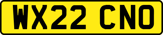 WX22CNO