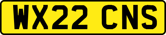 WX22CNS